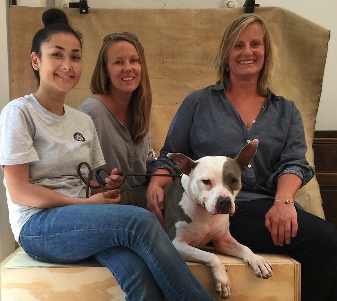 Three smiling women from the S.Miley team sitting with a gray and white pit bull mix